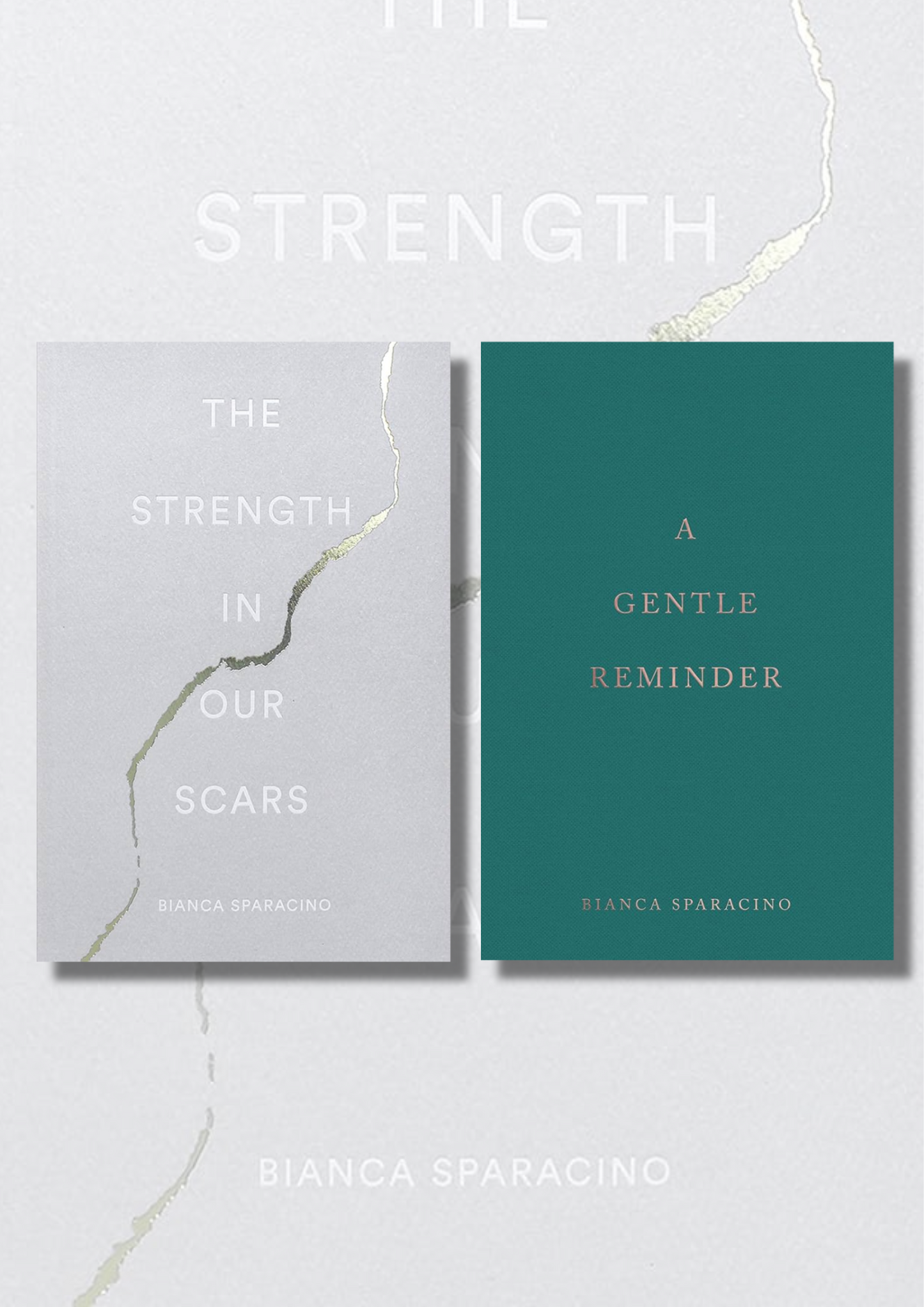 (COMBO PACK) A Gentle Reminder + The Strength In Our Scars (Paperback)